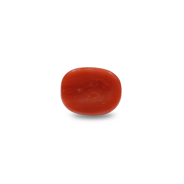 Red Coral - 8.25 Carat