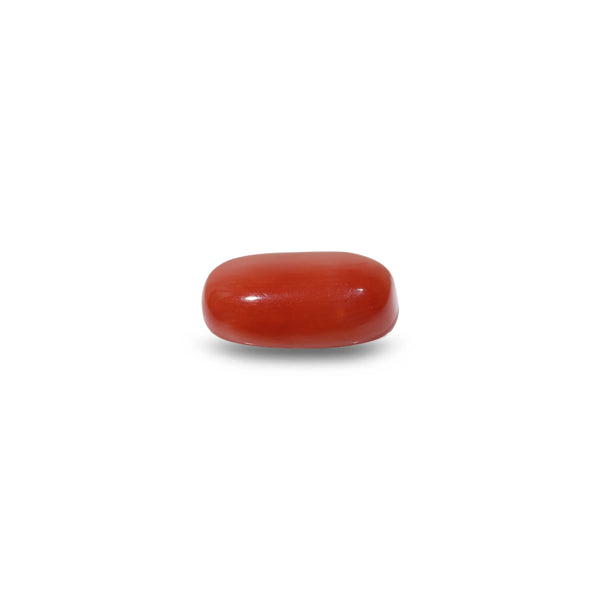 Red Coral - 8.25 Carat