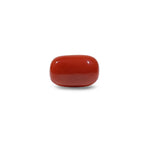 Red Coral - 14.7 Carat - Pramogh