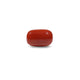 Red Coral - 14.7 Carat - Pramogh