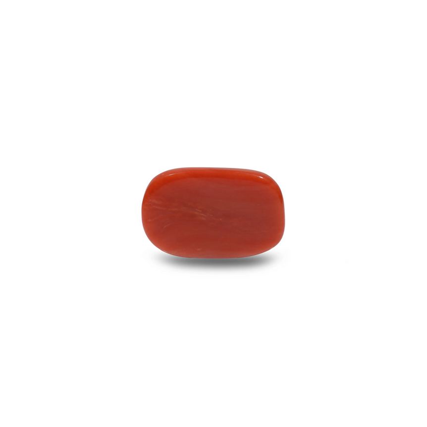 Red Coral - 14.7 Carat