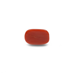 Red Coral - 14.7 Carat