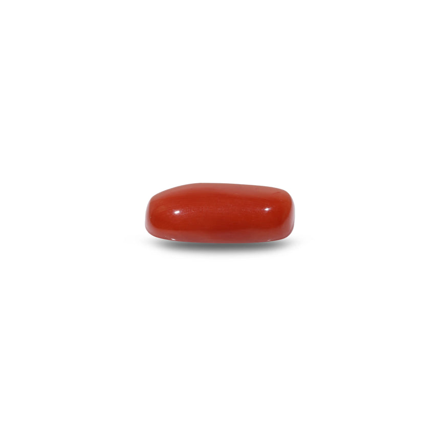 Red Coral - 14.7 Carat