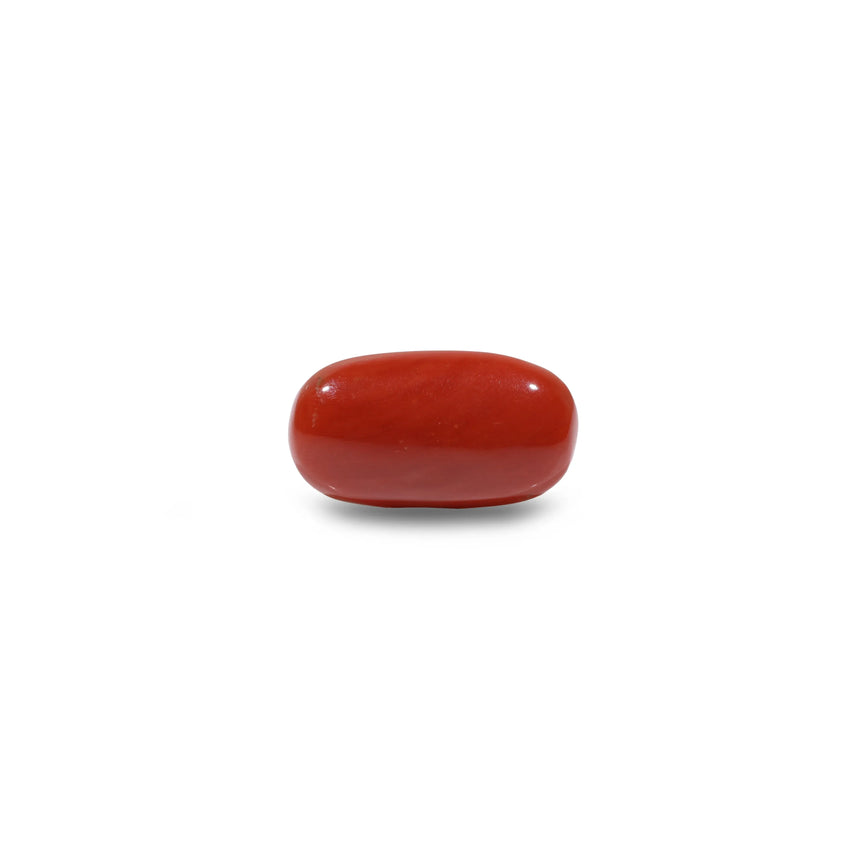 Red Coral - 8.9 Carat - Pramogh