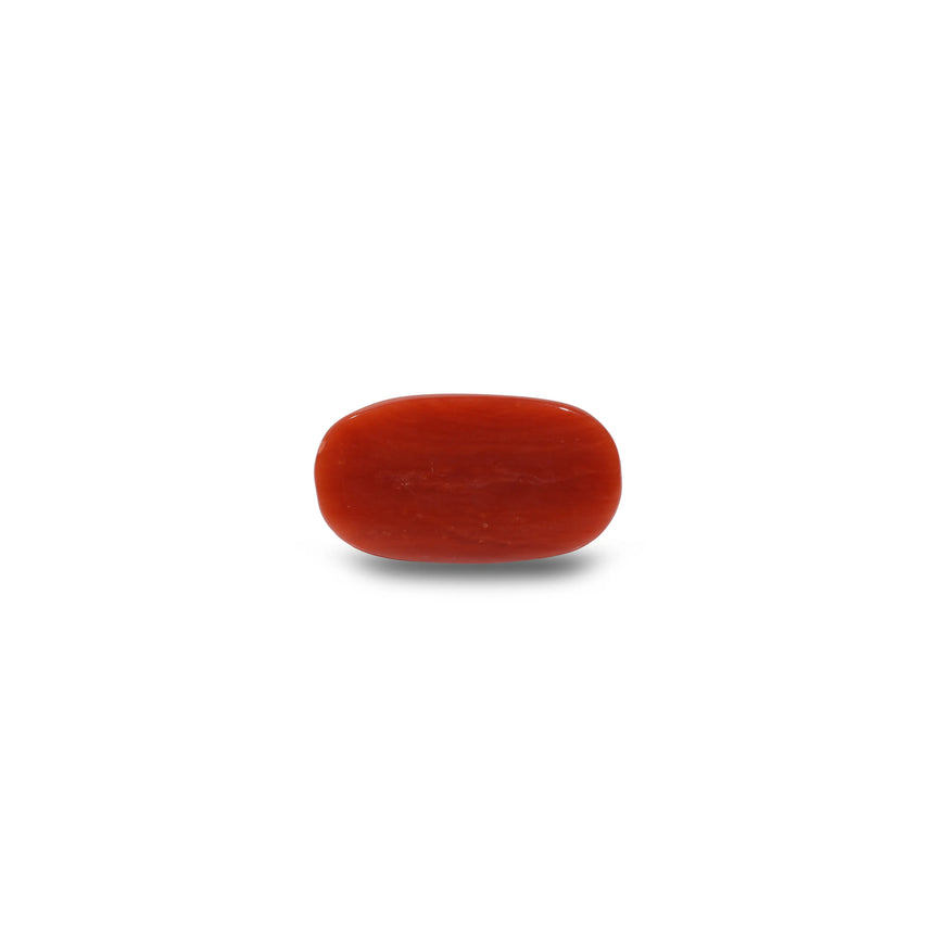 Red Coral - 8.9 Carat