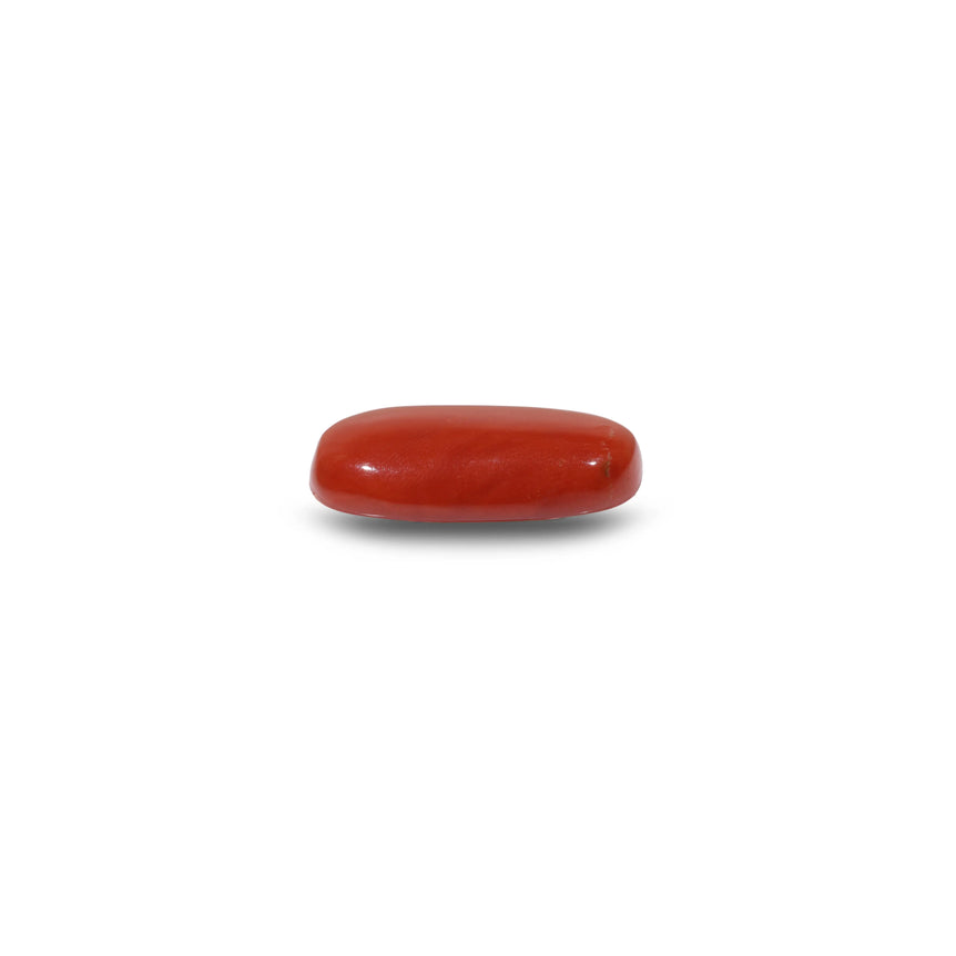 Red Coral - 8.9 Carat