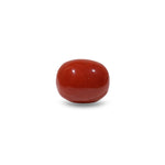 Red Coral - 8.6 Carat - Pramogh