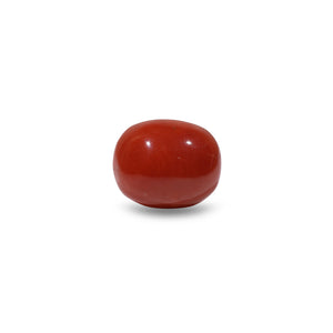 Red Coral - 8.6 Carat - Pramogh