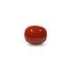 Red Coral - 8.6 Carat - Pramogh