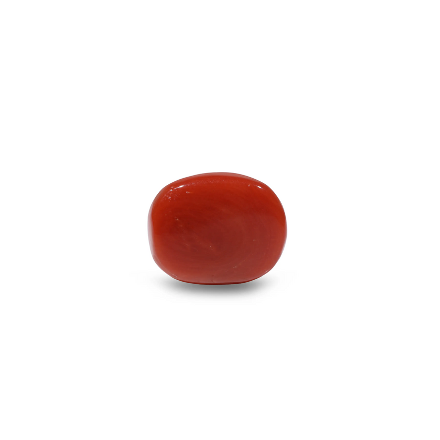 Red Coral - 8.6 Carat