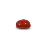 Red Coral - 8.6 Carat