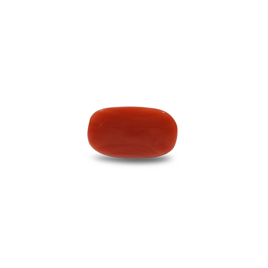 Red Coral - 9.15 Carat