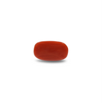 Red Coral - 9.15 Carat