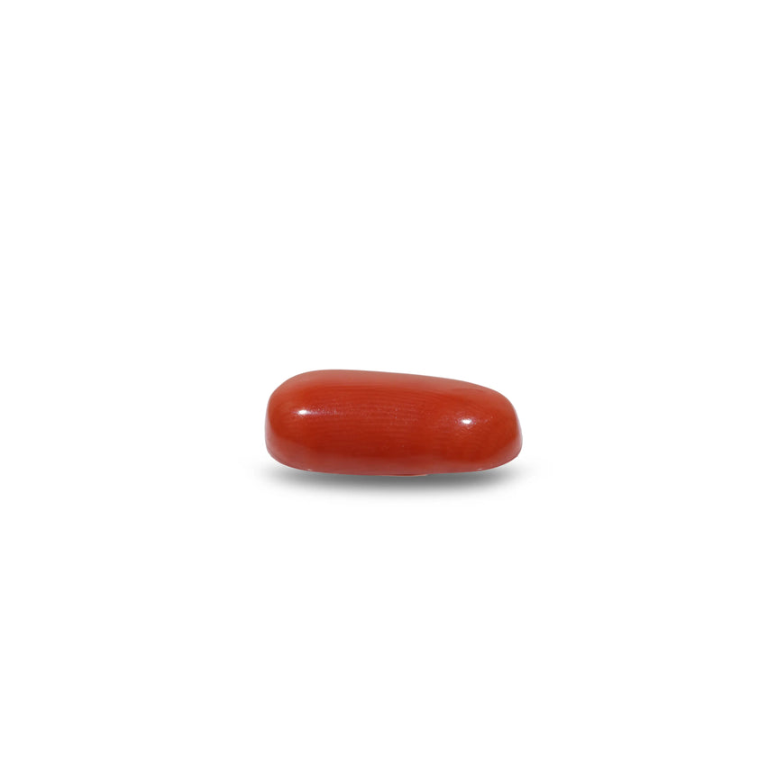 Red Coral - 9.15 Carat