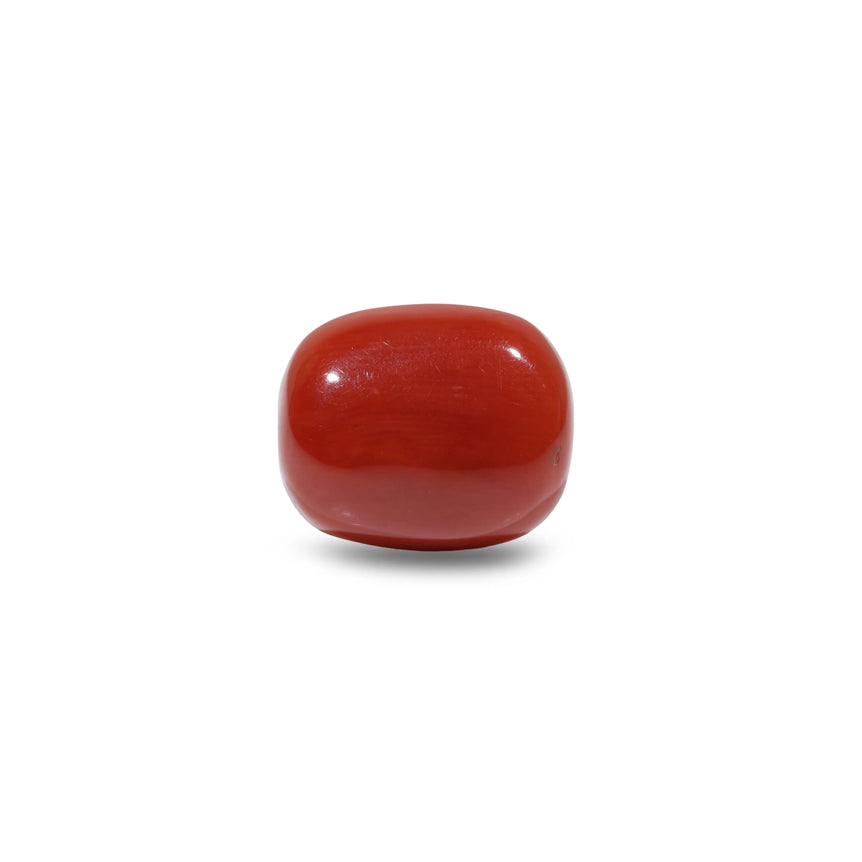 Red Coral - 7.95 Carat - Pramogh