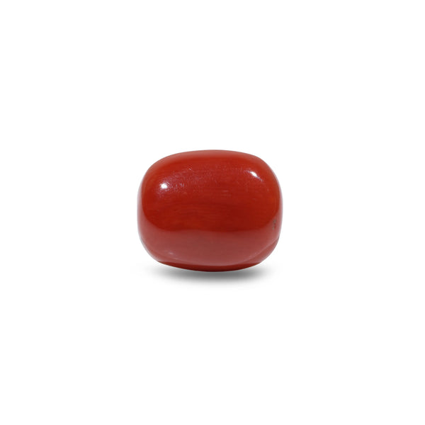 Red Coral - 7.95 Carat - Pramogh