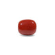 Red Coral - 7.95 Carat - Pramogh
