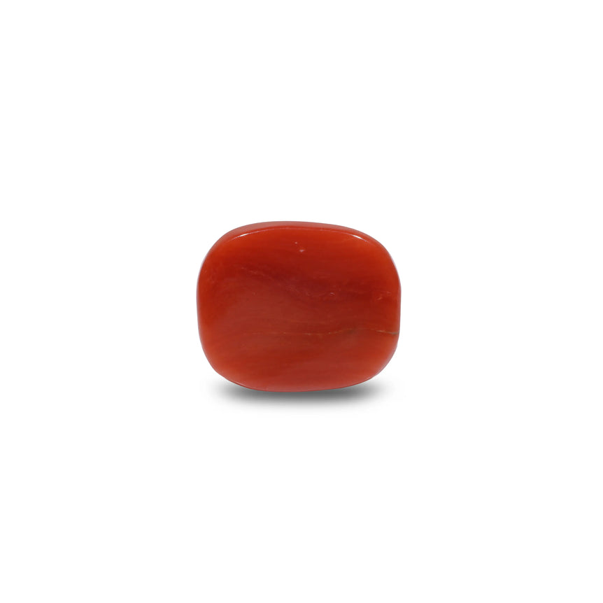 Red Coral - 7.95 Carat