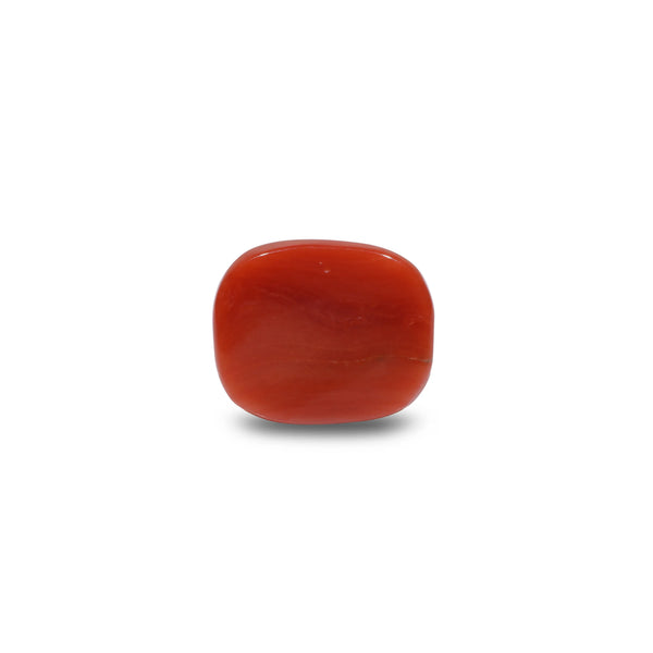 Red Coral - 7.95 Carat