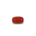 Red Coral - 7.95 Carat