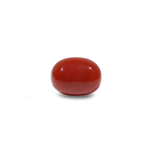 Red Coral - 9.05 Carat - Pramogh
