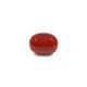 Red Coral - 9.05 Carat - Pramogh