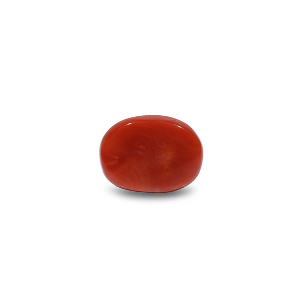 Red Coral - 9.05 Carat