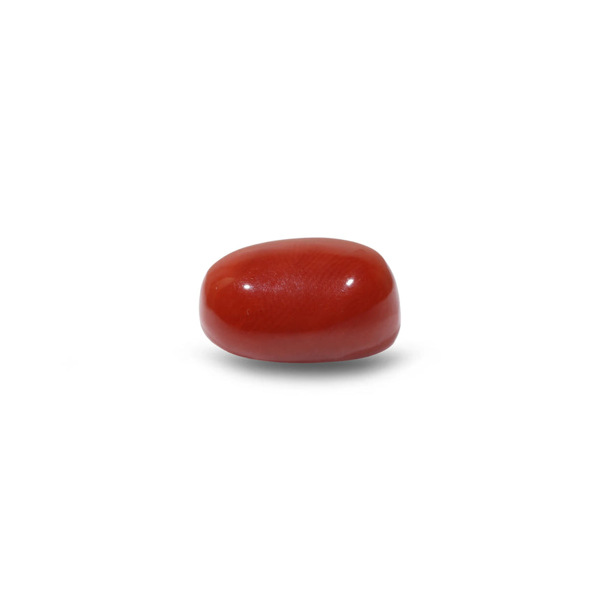 Red Coral - 9.05 Carat