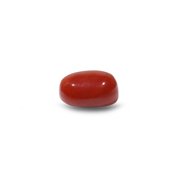 Red Coral - 9.05 Carat