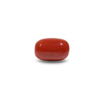 Red Coral - 13.75 Carat - Pramogh
