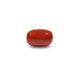 Red Coral - 13.75 Carat - Pramogh