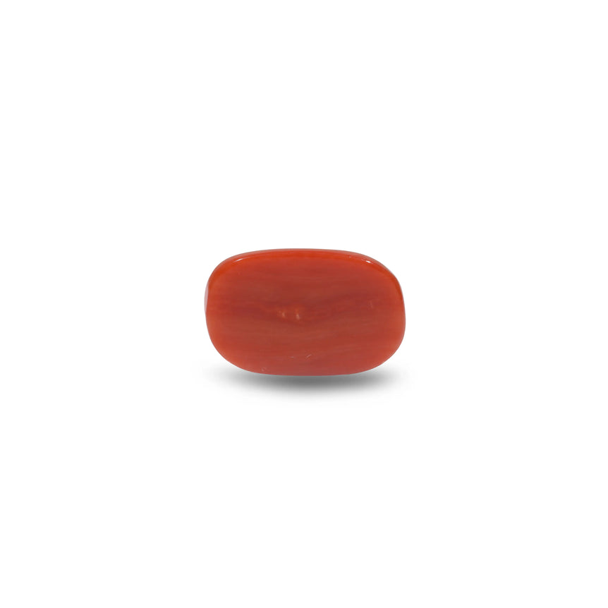 Red Coral - 13.75 Carat