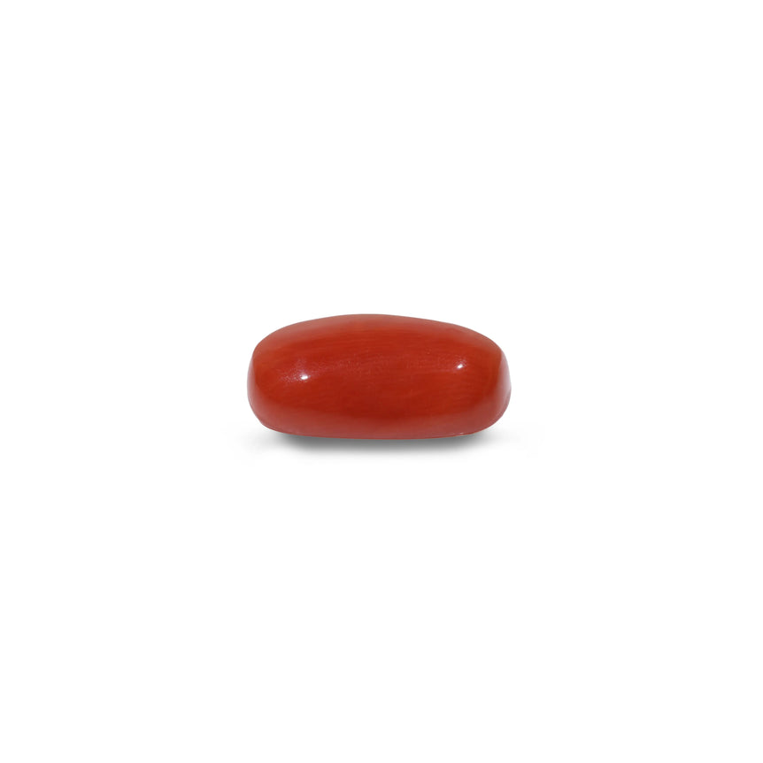 Red Coral - 13.75 Carat