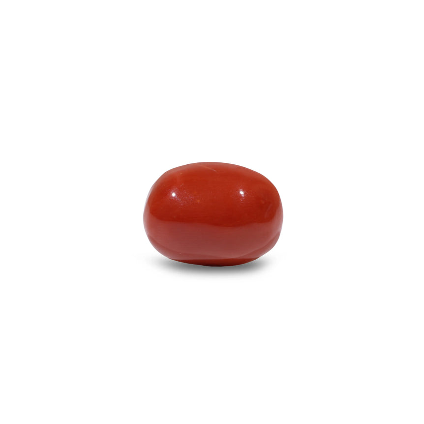 Red Coral - 10.65 Carat - Pramogh