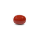 Red Coral - 10.65 Carat - Pramogh