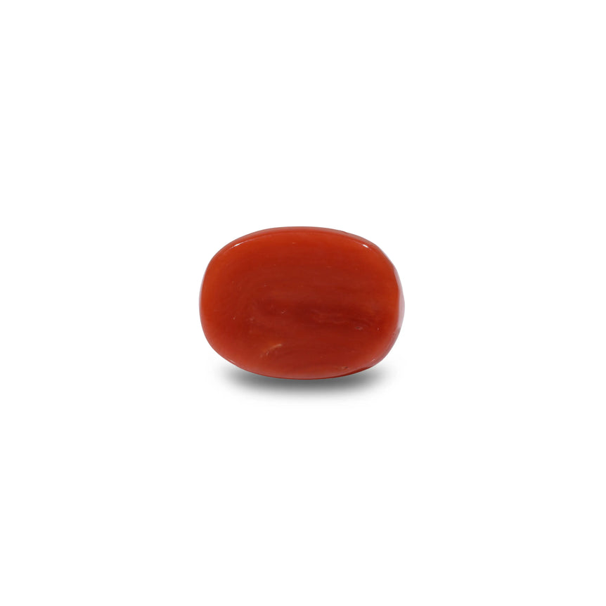 Red Coral - 10.65 Carat