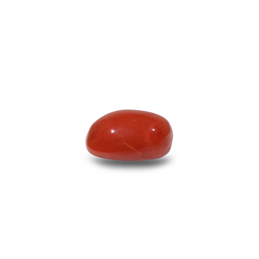 Red Coral - 10.65 Carat