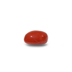 Red Coral - 10.65 Carat