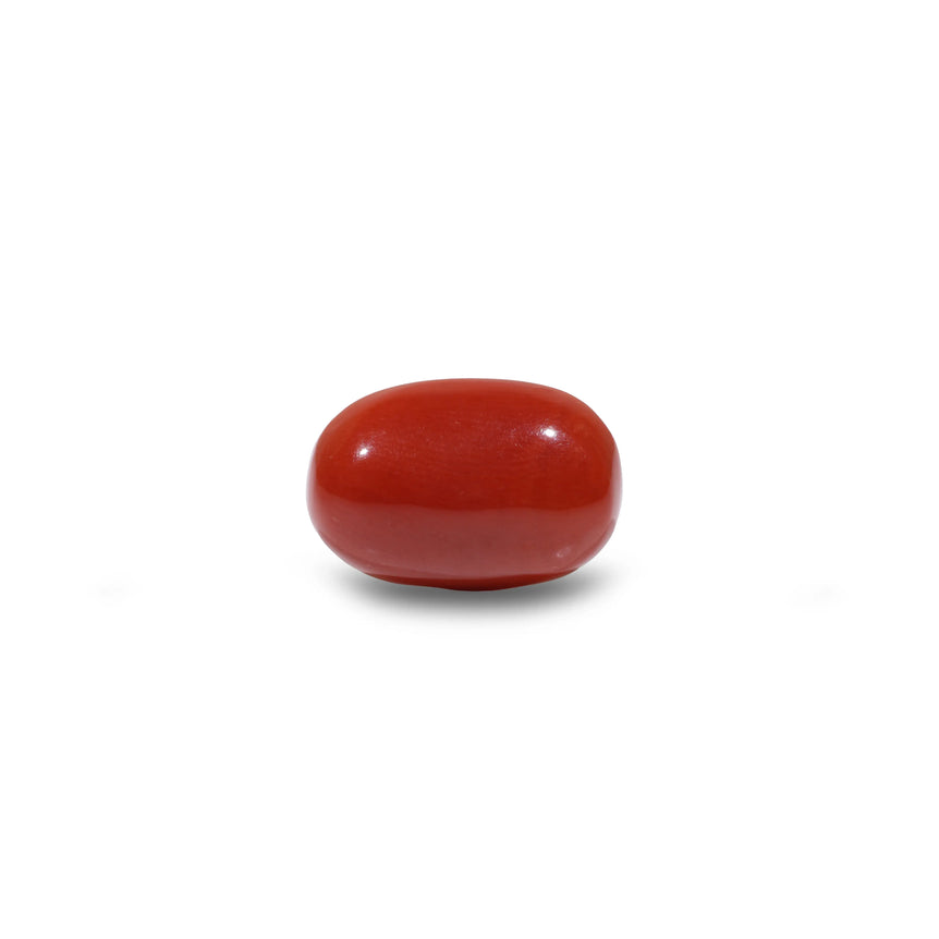 Red Coral - 6.9 Carat - Pramogh