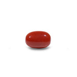 Red Coral - 6.9 Carat - Pramogh