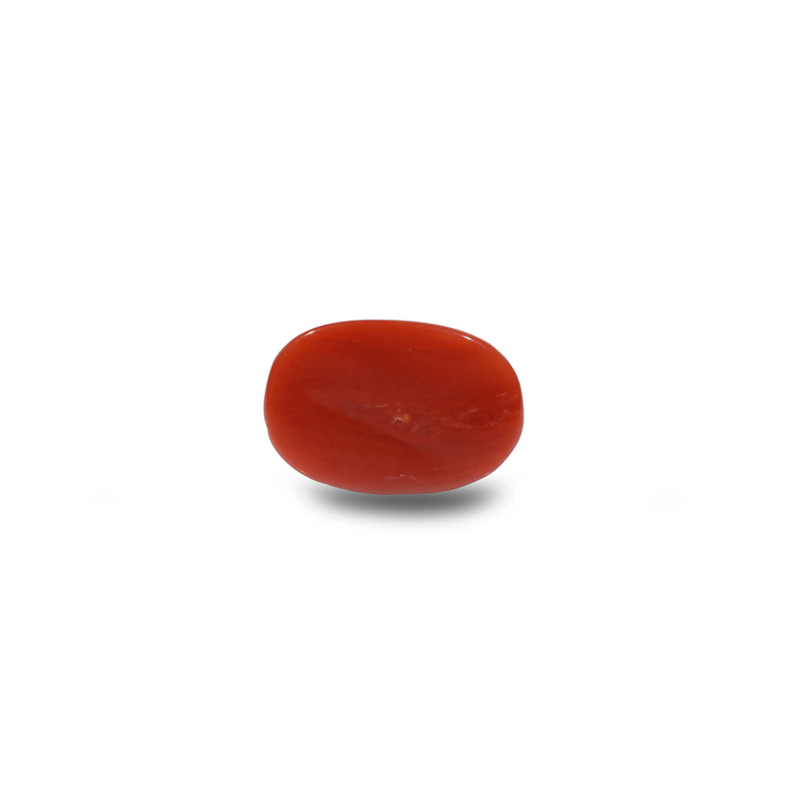 Red Coral - 6.9 Carat