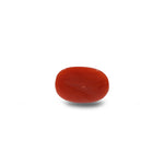 Red Coral - 6.9 Carat