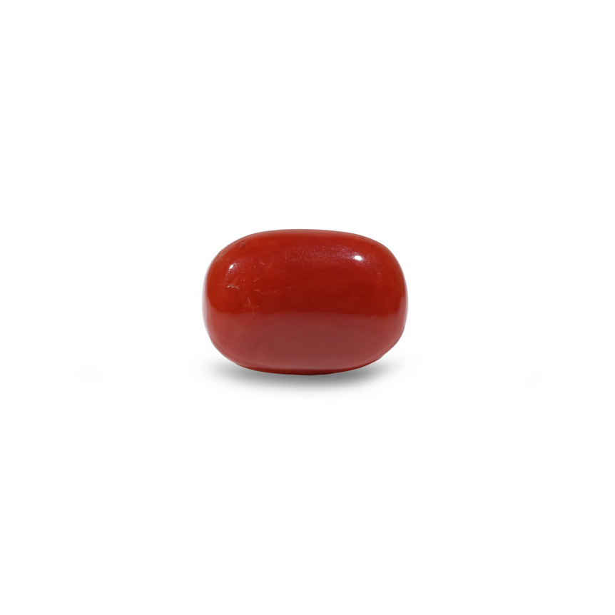 Red Coral - 10.8 Carat - Pramogh