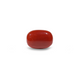 Red Coral - 10.8 Carat - Pramogh