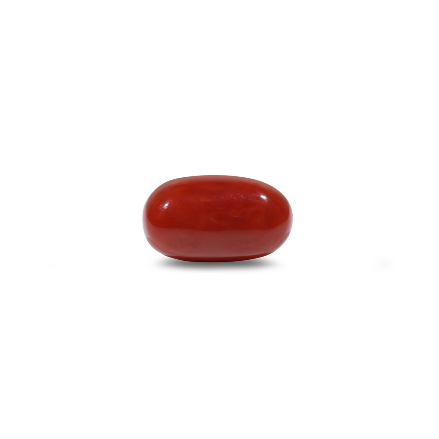 Red Coral - 10.7 Carat - Pramogh