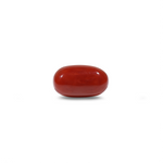 Red Coral - 10.7 Carat - Pramogh