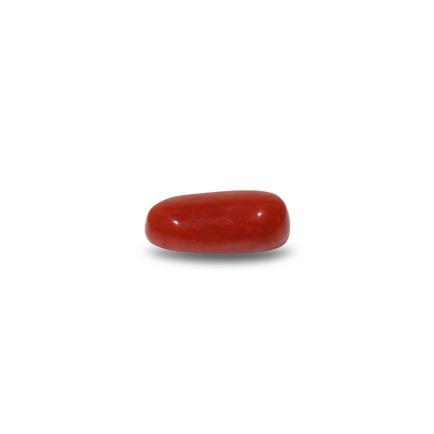 Red Coral - 10.7 Carat