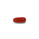 Red Coral - 10.7 Carat