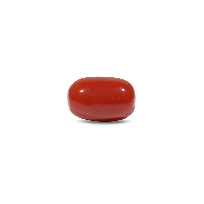 Red Coral - 9.55 Carat - Pramogh