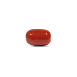 Red Coral - 9.55 Carat - Pramogh